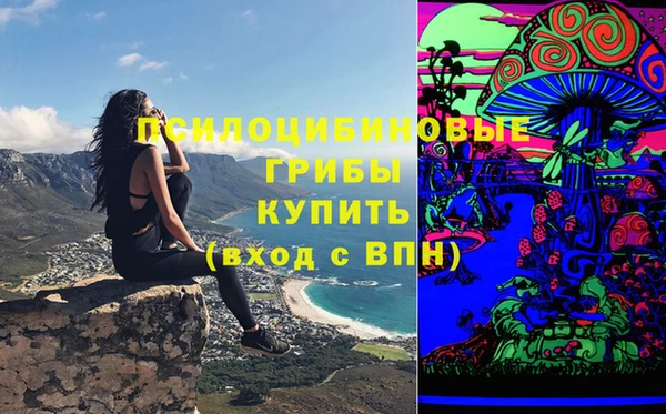 дживик Алексеевка
